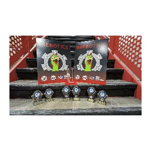 3D Printing Co-Lead